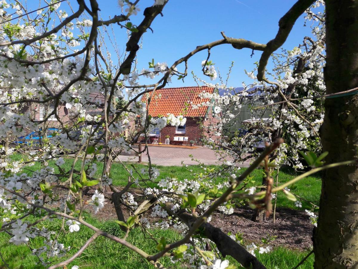 Gemuetliches Haeuschen Im Alten Land Jork Exterior foto